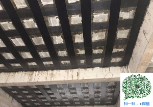 阿鲁科尔沁厂房碳纤维加固